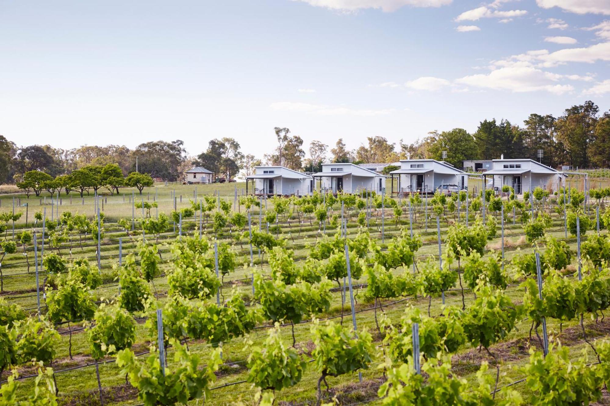 Aparthotel Ridgemill Estate Stanthorpe Exterior foto